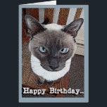 Happy Birthday Funny Big Head Siamese Katze<br><div class="desc">Auf dieser lustigen Geburtstagskarte wird die große siamesische Katze,  die auf einem Stuhl sitzt,  vorgestellt. Kunst,  Bild und Vers © Shoaff Ballanger Studios,  2023.</div>