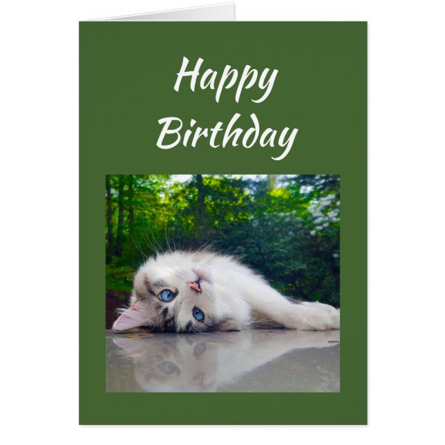 Happy Birthday Funny Cat Persective Spaß (Vorne)
