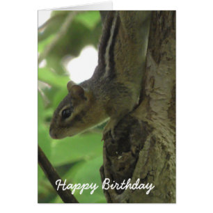 Happy Birthday Funny Chipmunk Card
