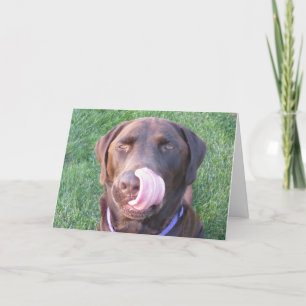 Happy Birthday FUNNY Chocolate Labrador Card Karte