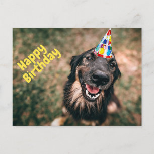 Happy Birthday Funny Dog in Party Hat Postkarte