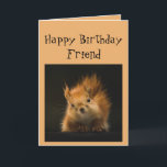 Happy Birthday Funny FRIEND Red Squirrel Tier Karte<br><div class="desc">Funny Geburtstagskarte für deinen FREUND Du wirst altern wie eine Eiche,  die aufpasst,  Nüsse zu fallen</div>