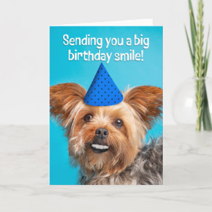 Happy Birthday Funny Yorkie Hund mit Zehen Feiertagskarte