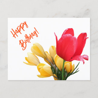 Happy Birthday gelbe Crocus red tulip floral Liebe Feiertagspostkarte