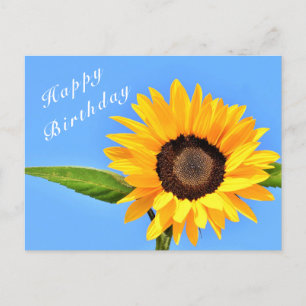 Happy Birthday - Gelbe Sonnenblume auf blauem Himm Postkarte