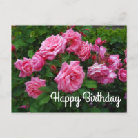 Happy Birthday Gene Boerner Rose #2 Postcard