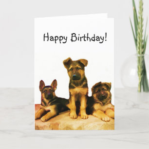 Happy Birthday German Shepherd puppies card Karte
