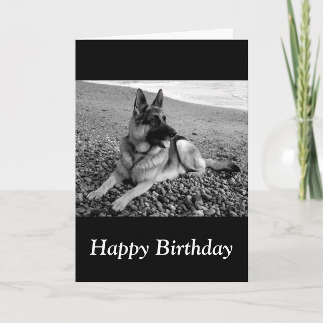 Happy Birthday German Shepherds Welpenkarte Karte (Vorderseite)