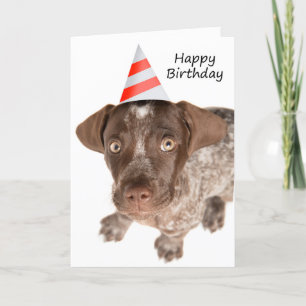 Happy Birthday German Shorthaired Pointer Puppy Feiertagskarte