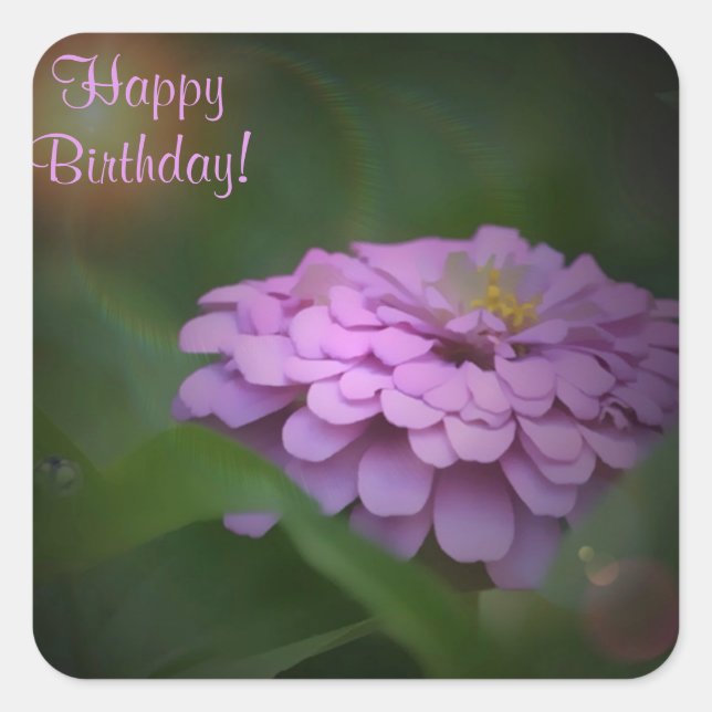 Happy Birthday Glows Zinnia Square Sticker (Vorderseite)