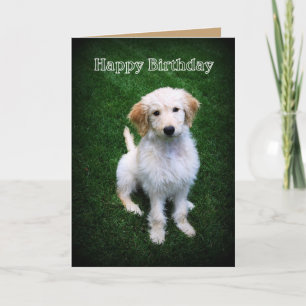 Happy Birthday Golden Doodle Puppy Karte