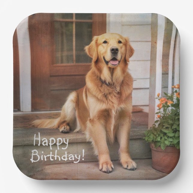 Happy Birthday Golden Retriever Pappteller (Vorderseite)