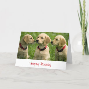 Happy Birthday Golden Retriever Welpen Note Card Karte