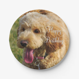 Happy Birthday Goldendoodle Dog Pappteller