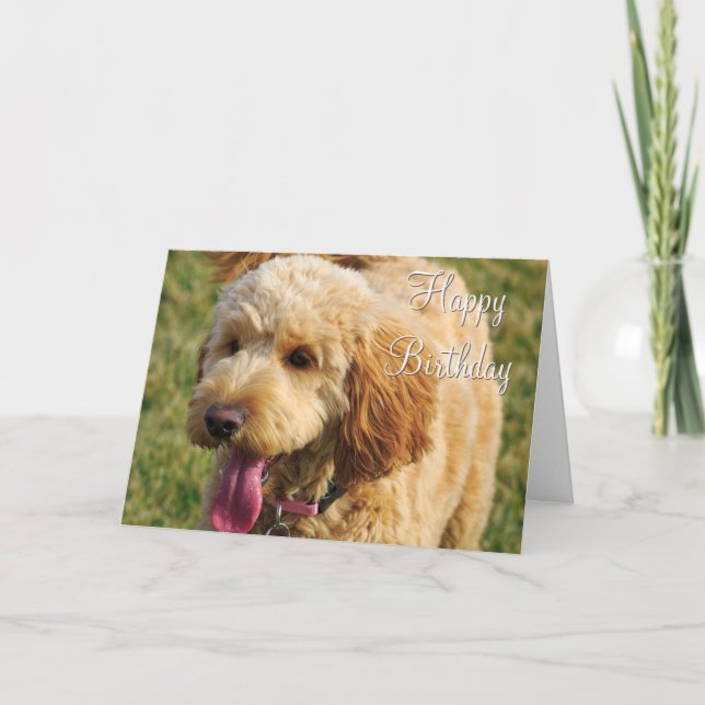 Happy Birthday Goldendoodle Hund Karte (Vorderseite)
