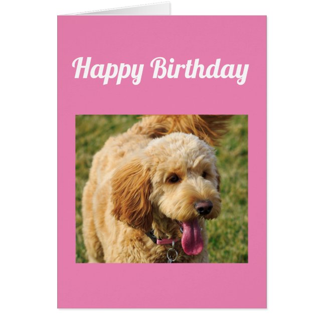 Happy Birthday Goldendoodle Hundekarte (Vorne)