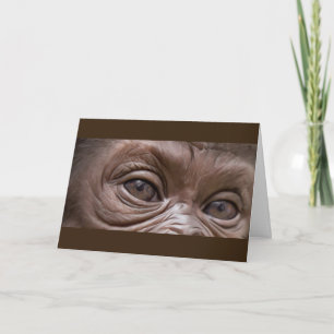 Happy Birthday Gorilla Karte