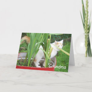 HAPPY BIRTHDAY GRANDMA KARTE