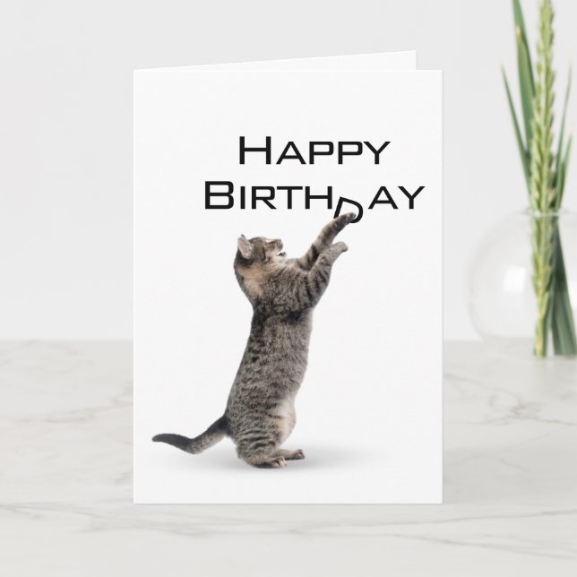 Happy Birthday Gray Tabby Cat Karte (Vorderseite)