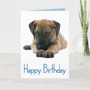 Happy Birthday Great Dane Puppy Dog Card - Verse Karte
