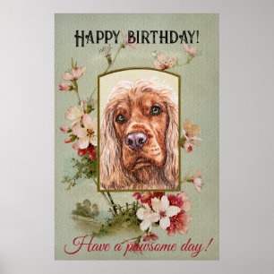 Happy Birthday Greetings English Cocker spaniel Poster