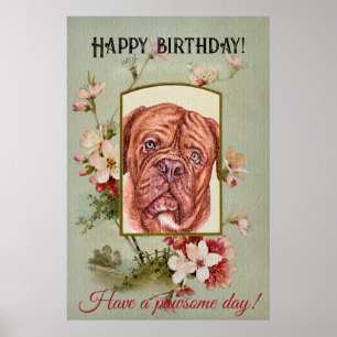 Happy Birthday Gruß Französischer Mastiff Poster