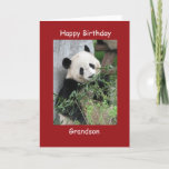 Happy Birthday Grußkarte Giant Panda Grandson Karte<br><div class="desc">Diese farbenfrohe Karte ist Teil unserer "Panda"-Kollektion, die auch Geschenkartikel mit Bildern von riesigen Pandas beinhaltet - Münzdecken, iPad Hüllen, Handy-Gehäuse, kleine Schmuckschachteln, Packpapier und andere Geschenke. Dieses Beispiel sagt "Grandson", aber Sie können die Karte und die passenden Produkte anpassen, um sie noch spezieller zu machen. Ein super Weg, um...</div>