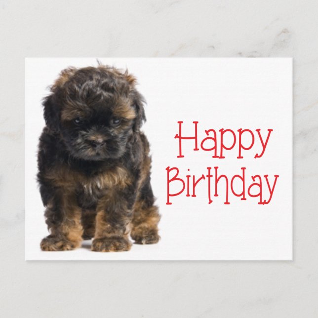 Happy Birthday Havanese Puppy Dog Postkarte (Vorderseite)