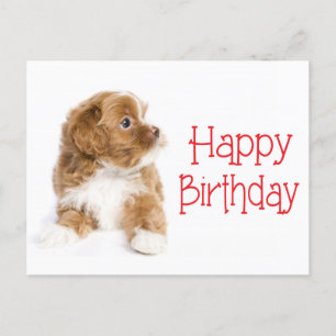 Happy Birthday Havanese Puppy Dog Postkarte