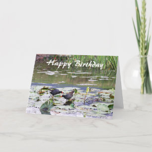 Happy Birthday Hawaiian Common Moorhen, Lily Pond Karte