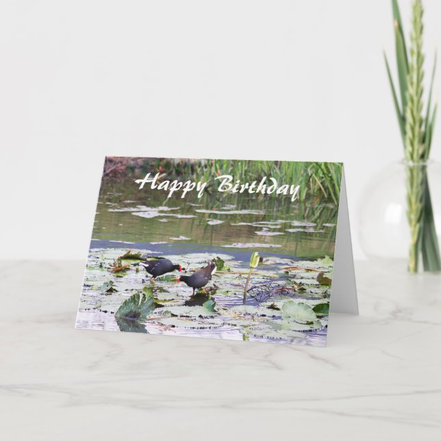 Happy Birthday Hawaiian Common Moorhen, Lily Pond Karte (Vorderseite)