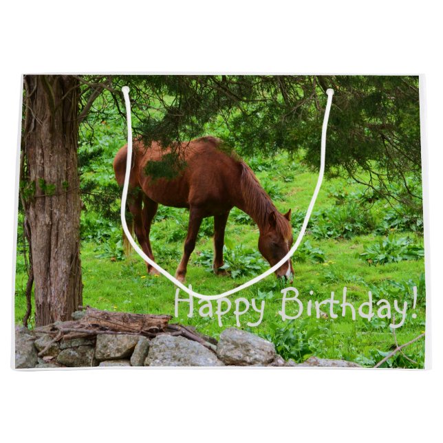 Happy Birthday Horse Große Geschenktüte (Vorderseite)