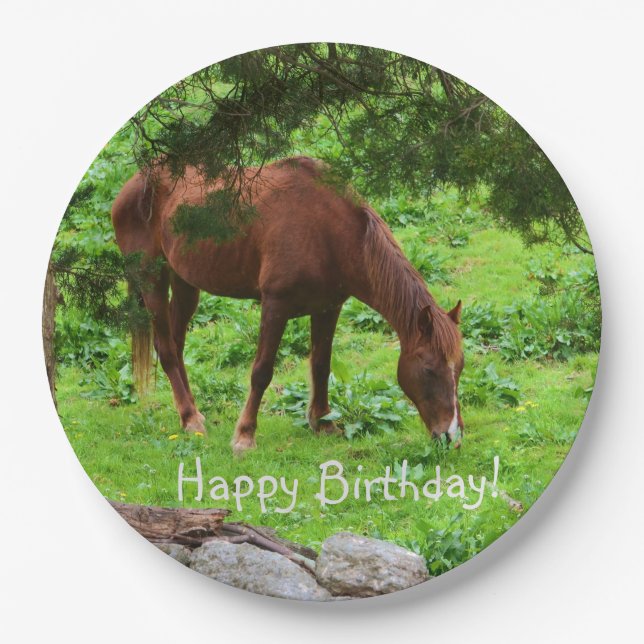 Happy Birthday Horse Pappteller (Vorderseite)