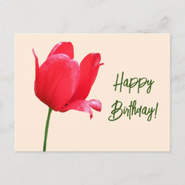 Happy Birthday hübsche rote Tulpe Blumen einfache Postkarte