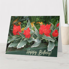 Happy Birthday hübsche Tulpen Blumengestylt Karte