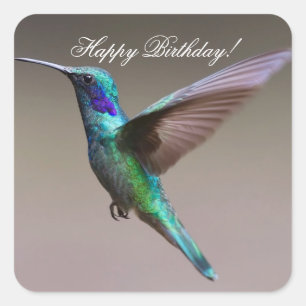Happy Birthday Hummingbird Quadratischer Aufkleber