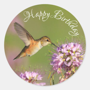 Happy Birthday Hummingbird Wildblumen Runder Aufkleber