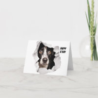 Happy Birthday Hund durch gebrochenes Papier schau
