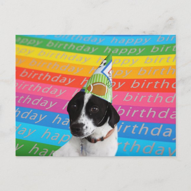 Happy Birthday Hund farbenfrohe Text Banner Postca Postkarte (Vorderseite)