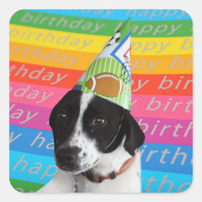 Happy Birthday Hund farbenfrohe Text Banner Sticke Quadratischer Aufkleber (Vorderseite)