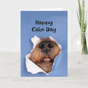Happy Birthday Hund riecht Cake Animal Fun Karte