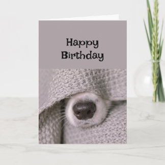 Happy Birthday Hund unter Decke in Bett Karte