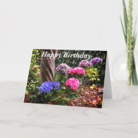 Happy Birthday Hydrangeas #1 Karte
