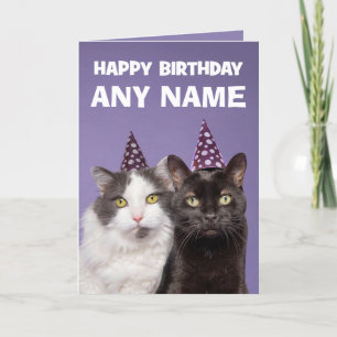 Happy Birthday Individuelle Name Funny Cats in Hat Feiertagskarte