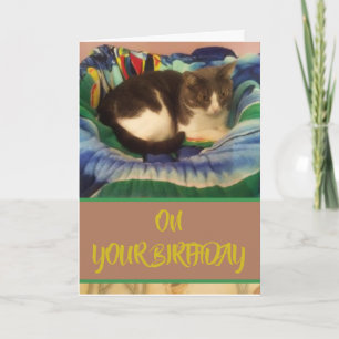 Happy Birthday Inhouse Gray und White Kitty Cat Karte