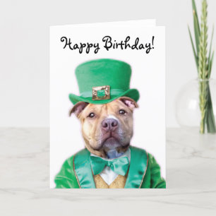 Happy Birthday Irish Pitbull Puppy greeting card Karte