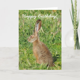 Happy Birthday Jack Rabbit Grußkarte Karte