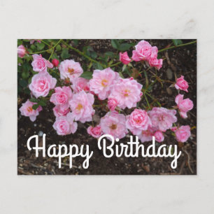 Happy Birthday Jeanne LaJoie Rose #1 Postcard Postkarte