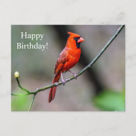 Happy Birthday Kardinal Postcard Postkarte
