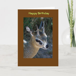 Happy Birthday Karte